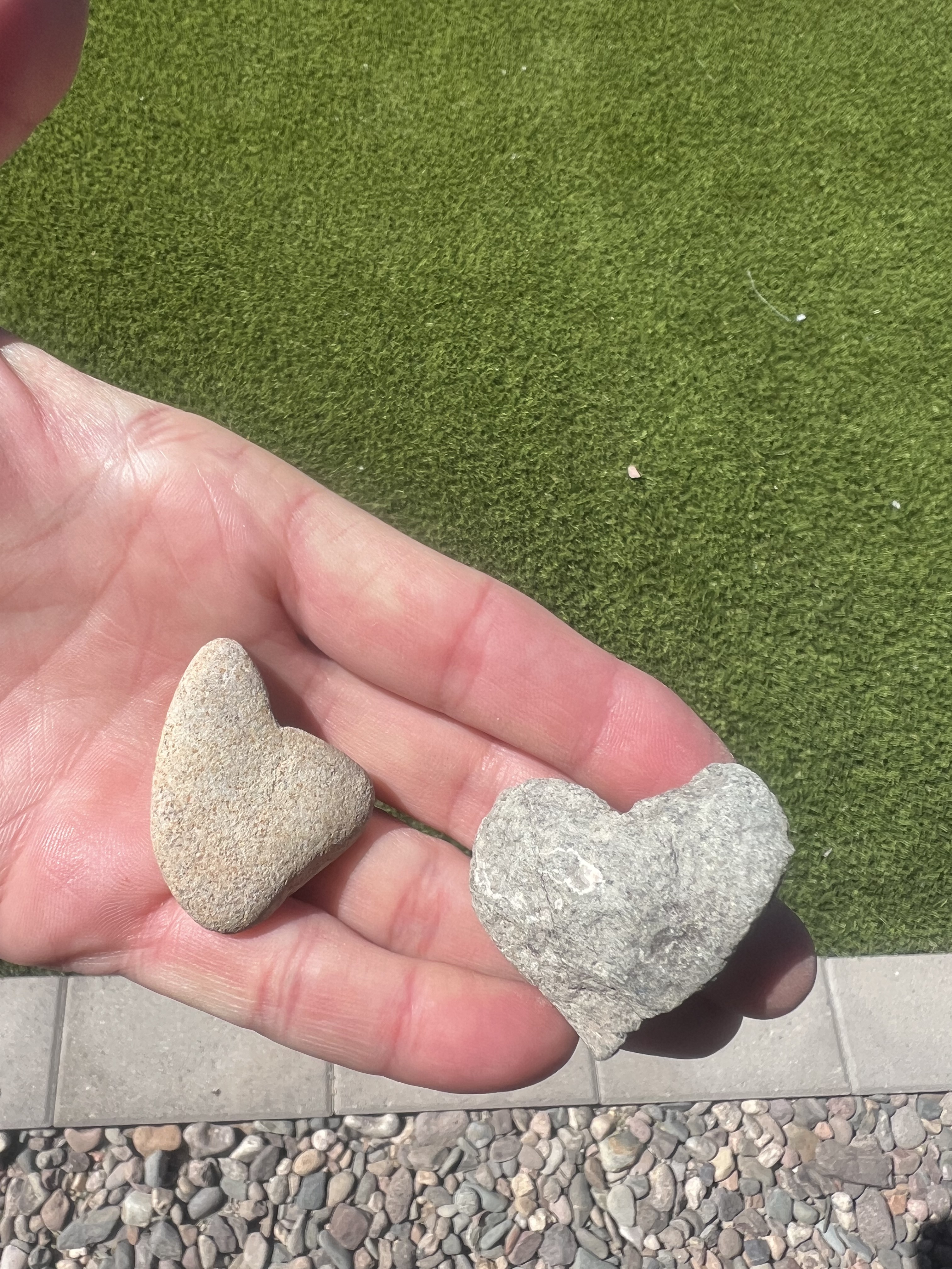 Temple's hand holding two heart-shaped rocks gathered in her Arizona garden
